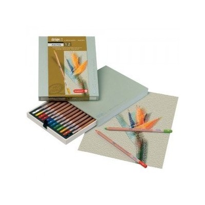 "Colores suntuosos: Caja Lápices Pasteles Bruynzeel 12 unidades, la elección perfecta para tus obras artísticas".